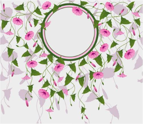 Morning Glory Floral Frame Vector