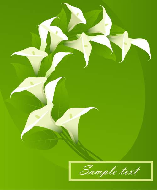 Elegant Woman Face with Closed Eyes