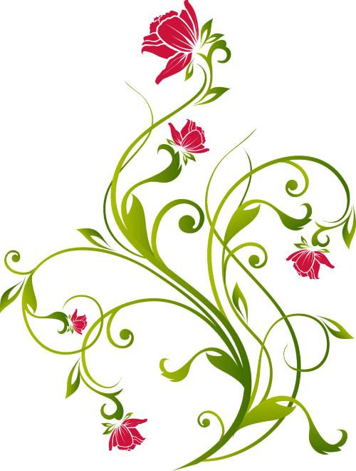 Elegant Red Rose Vine Vector