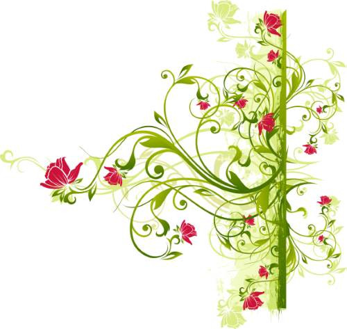 Elegant Floral Vine Ornament Vector