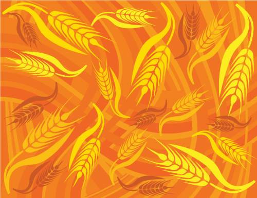 Golden Wheat Pattern Vector Background